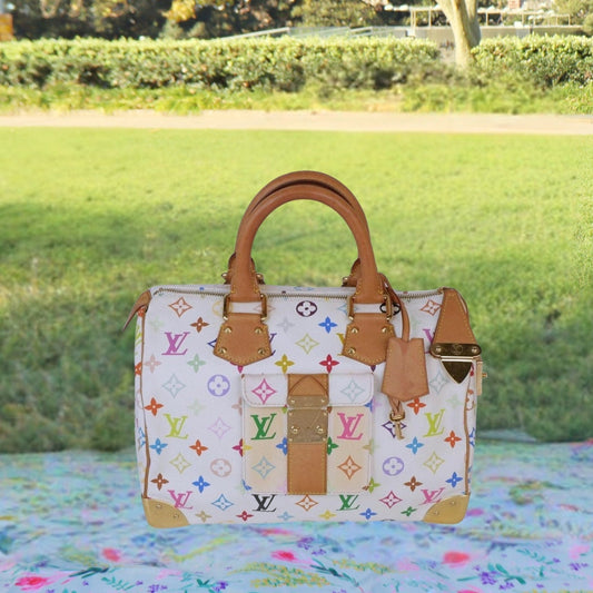 Louis Vuitton X Takashi Murakami Monogram Speedy 30 Bag